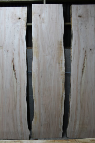 Ambrosia Maple Image