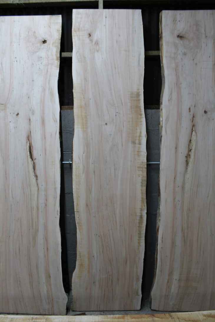Ambrosia Maple