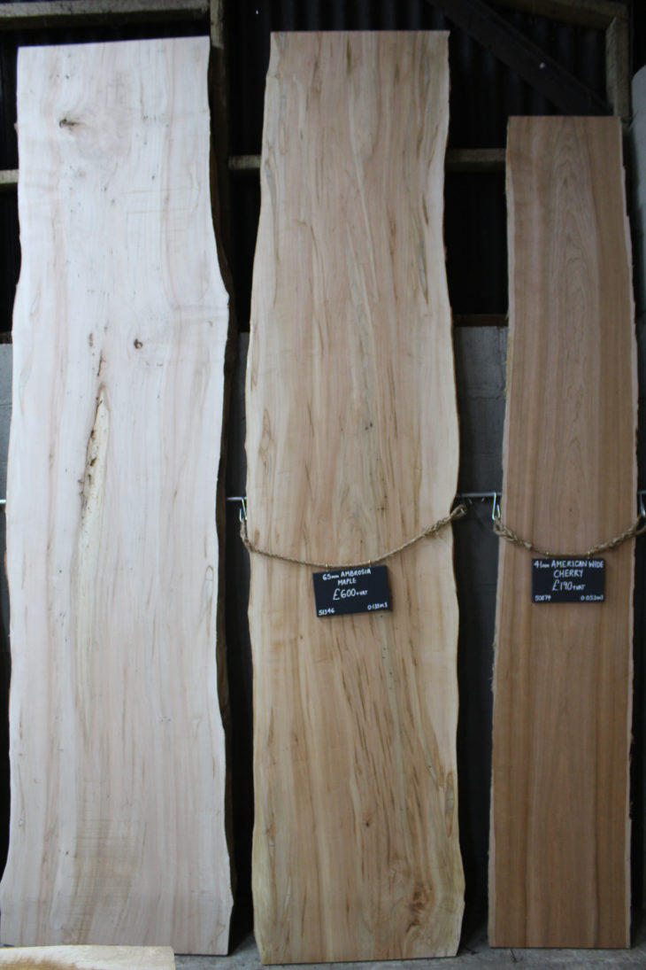 Ambrosia Maple