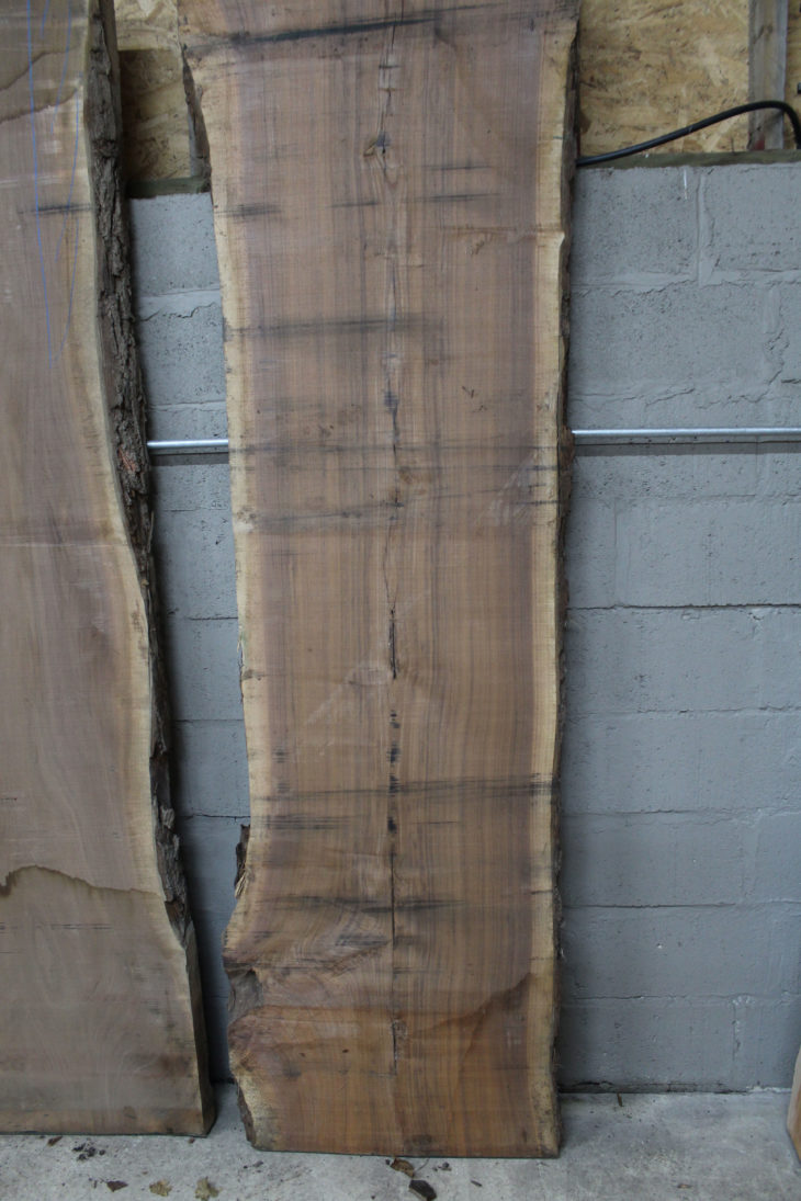 Black Walnut