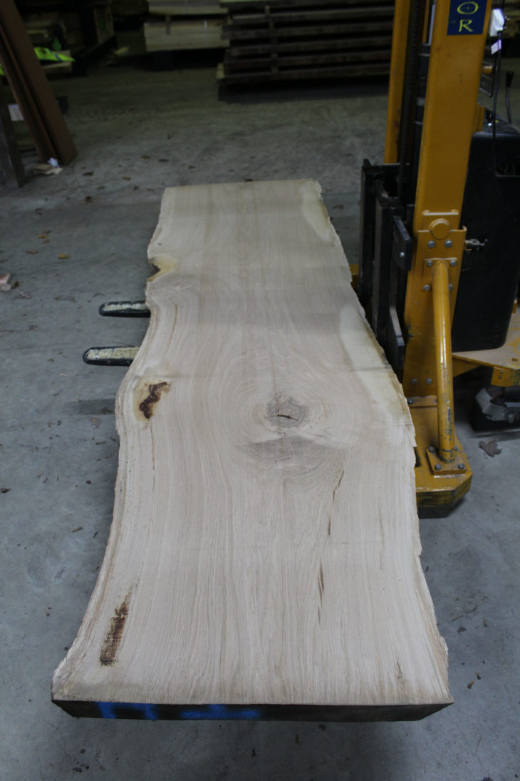 Wide Oak