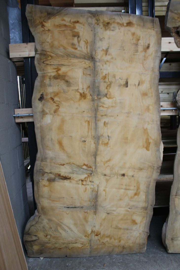 Cedar of Lebanon