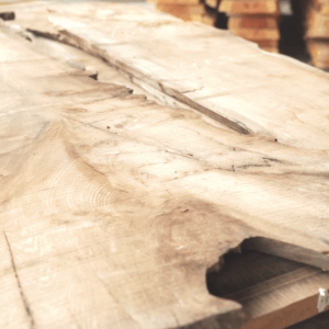 Ex 54x630x2970, British Burr Elm W/E Slab *Sanded*